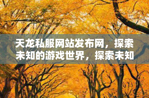天龙私服网站发布网图片