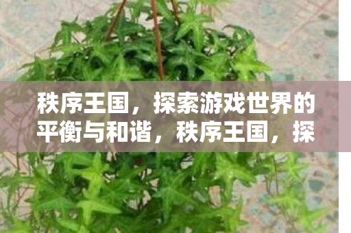 秩序王国,探索游戏世界的平衡与和谐,秩序王国,探索游戏世界的平衡与和谐之道 秩序王国,探索游戏世界的平衡与和谐,秩序王国,探索游戏世界的平衡与和谐之道