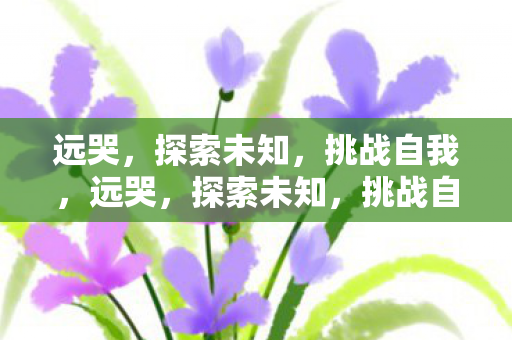 远哭,探索未知,挑战自我,远哭,探索未知,挑战自我之旅 远哭,探索未知,挑战自我,远哭,探索未知,挑战自我之旅