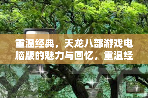 天龙八部游戏电脑版的魅力与回忆图片