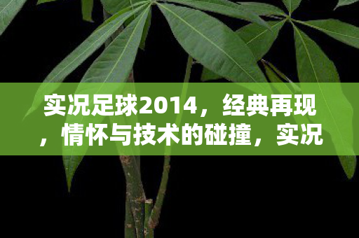 实况足球2014,经典再现,情怀与技术的碰撞,实况足球2014,情怀与技术的激情碰撞 实况足球2014,经典再现,情怀与技术的碰撞,实况足球2014,情怀与技术的激情碰撞