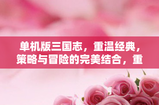 单机版三国志,重温经典,策略与冒险的完美结合,重温经典,单机版三国志,策略与冒险的完美结合 单机版三国志,重温经典,策略与冒险的完美结合,重温经典,单机版三国志,策略与冒险的完美结合