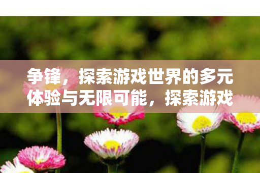 争锋,探索游戏世界的多元体验与无限可能,探索游戏世界的多元体验与无限可能 争锋,探索游戏世界的多元体验与无限可能,探索游戏世界的多元体验与无限可能