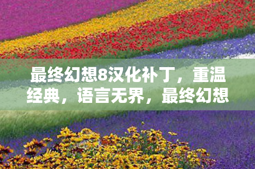最终幻想8汉化补丁,重温经典,语言无界,最终幻想8汉化补丁发布,重温经典游戏语言无界 最终幻想8汉化补丁,重温经典,语言无界,最终幻想8汉化补丁发布,重温经典游戏语言无界