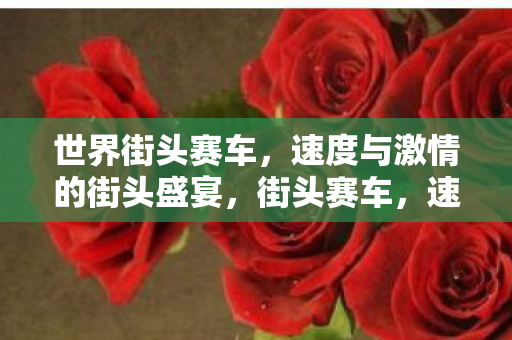 世界街头赛车,速度与激情的街头盛宴,街头赛车,速度与激情的街头盛宴 世界街头赛车,速度与激情的街头盛宴,街头赛车,速度与激情的街头盛宴