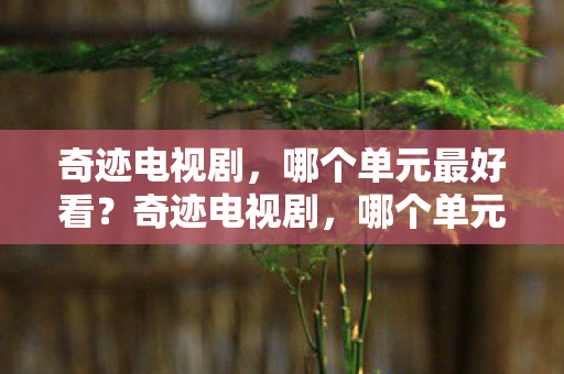 哪个单元最好看图片