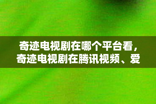 奇迹电视剧在哪个平台看图片