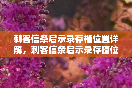 刺客信条启示录存档位置详解，刺客信条启示录存档位置全解析