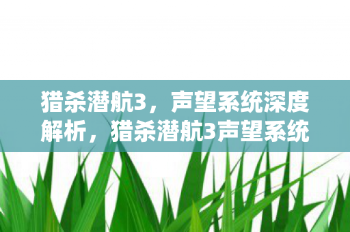 猎杀潜航3,声望系统深度解析,猎杀潜航3声望系统深度剖析,如何提升与维持你的声望? 猎杀潜航3,声望系统深度解析,猎杀潜航3声望系统深度剖析,如何提升与维持你的声望?
