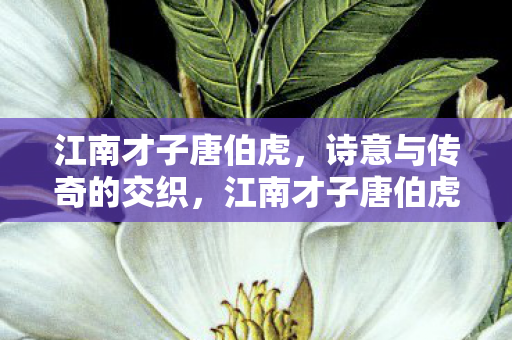 江南才子唐伯虎，诗意与传奇的交织，江南才子唐伯虎，诗意与传奇的交织