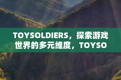 TOYSOLDIERS,探索游戏世界的多元维度,TOYSOLDIERS,探索游戏世界的多元维度 TOYSOLDIERS,探索游戏世界的多元维度,TOYSOLDIERS,探索游戏世界的多元维度