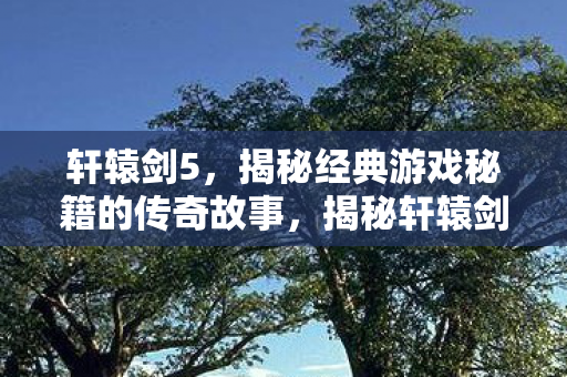 轩辕剑5,揭秘经典游戏秘籍的传奇故事,揭秘轩辕剑5经典秘籍,传奇故事背后的秘密 轩辕剑5,揭秘经典游戏秘籍的传奇故事,揭秘轩辕剑5经典秘籍,传奇故事背后的秘密