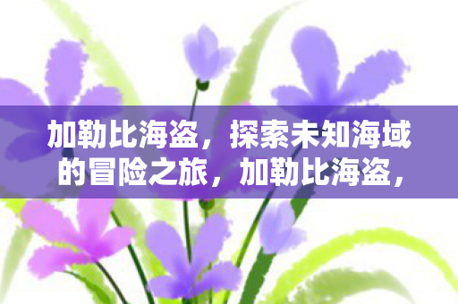 加勒比海盗,探索未知海域的冒险之旅,加勒比海盗,探索未知海域的惊险之旅 加勒比海盗,探索未知海域的冒险之旅,加勒比海盗,探索未知海域的惊险之旅