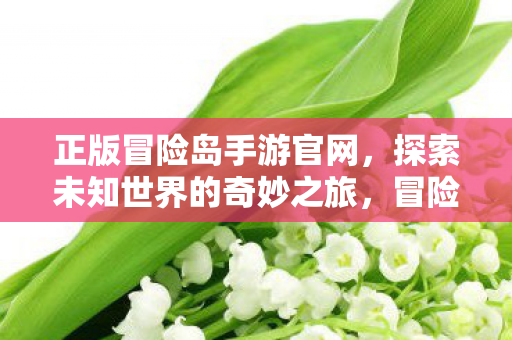 正版冒险岛手游官网,探索未知世界的奇妙之旅,冒险岛手游官网,开启探索未知世界的奇妙之旅 正版冒险岛手游官网,探索未知世界的奇妙之旅,冒险岛手游官网,开启探索未知世界的奇妙之旅
