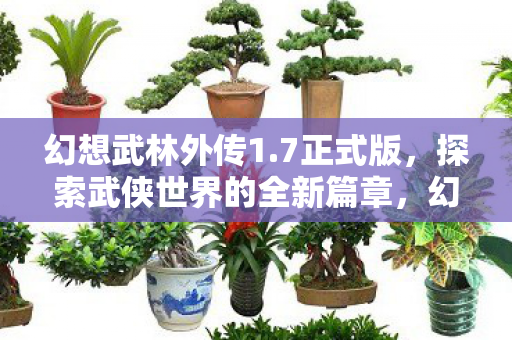 幻想武林外传1.7正式版，探索武侠世界的全新篇章，幻想武林外传1.7正式版，开启武侠世界全新篇章