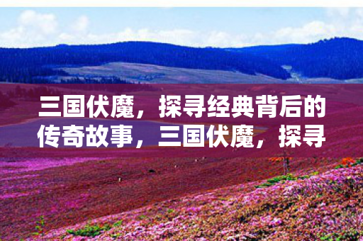 三国伏魔，探寻经典背后的传奇故事，三国伏魔，探寻经典背后的传奇故事