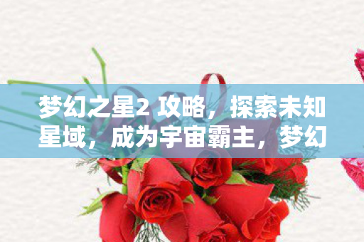梦幻之星2 攻略,探索未知星域,成为宇宙霸主,梦幻之星2攻略,探索未知星域,成就宇宙霸主之路 梦幻之星2 攻略,探索未知星域,成为宇宙霸主,梦幻之星2攻略,探索未知星域,成就宇宙霸主之路