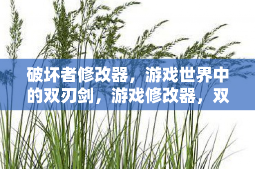 破坏者修改器,游戏世界中的双刃剑,游戏修改器,双刃剑的破坏力 破坏者修改器,游戏世界中的双刃剑,游戏修改器,双刃剑的破坏力