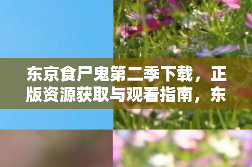 正版资源获取与观看指南图片