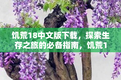 探索生存之旅的必备指南图片