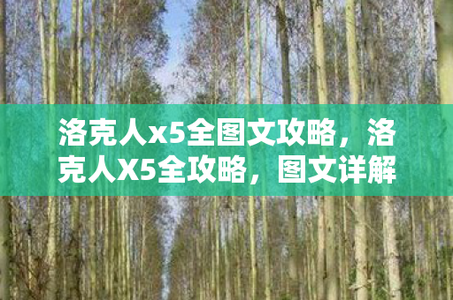 洛克人x5全图文攻略,洛克人X5全攻略,图文详解助你轻松通关 洛克人x5全图文攻略,洛克人X5全攻略,图文详解助你轻松通关