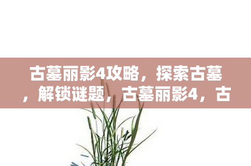 古墓丽影4攻略,探索古墓,解锁谜题,古墓丽影4,古墓探索与谜题解锁攻略 古墓丽影4攻略,探索古墓,解锁谜题,古墓丽影4,古墓探索与谜题解锁攻略