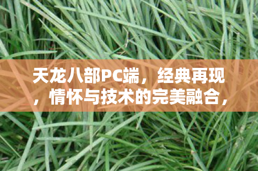 情怀与技术的完美融合图片