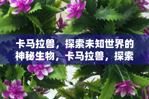 卡马拉兽,探索未知世界的神秘生物,卡马拉兽,探索未知世界的神秘生物 卡马拉兽,探索未知世界的神秘生物,卡马拉兽,探索未知世界的神秘生物