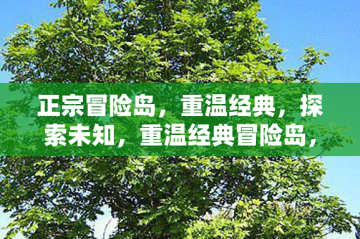 正宗冒险岛,重温经典,探索未知,重温经典冒险岛,探索未知之旅 正宗冒险岛,重温经典,探索未知,重温经典冒险岛,探索未知之旅