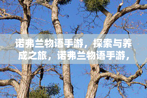 开启探索与养成之旅图片