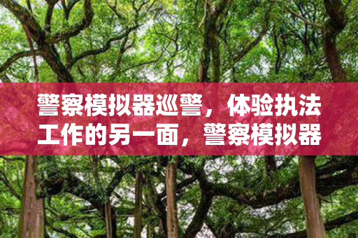 警察模拟器巡警，体验执法工作的另一面，警察模拟器巡警带你走进执法工作的另一面