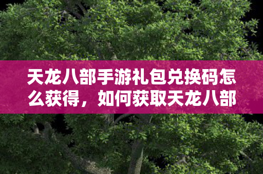 天龙八部手游礼包兑换码怎么获得，如何获取天龙八部手游礼包兑换码？
