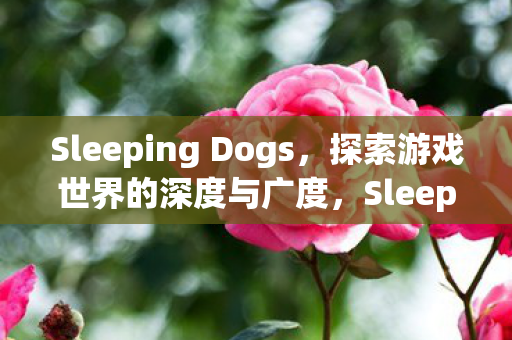 Sleeping Dogs，探索游戏世界的深度与广度，Sleeping Dogs，探索游戏世界的深度与广度