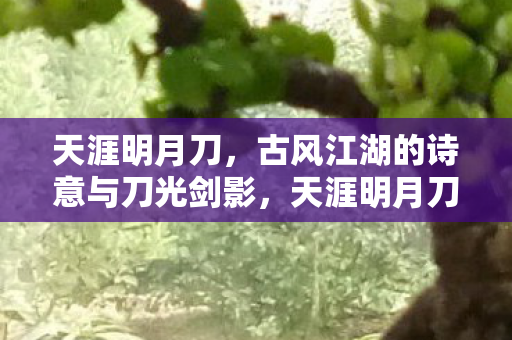 天涯明月刀,古风江湖的诗意与刀光剑影,天涯明月刀,古风江湖的诗意与刀光剑影 天涯明月刀,古风江湖的诗意与刀光剑影,天涯明月刀,古风江湖的诗意与刀光剑影
