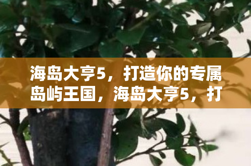 海岛大亨5,打造你的专属岛屿王国,海岛大亨5,打造你的专属岛屿王国 海岛大亨5,打造你的专属岛屿王国,海岛大亨5,打造你的专属岛屿王国