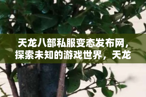 天龙八部私服变态发布网,探索未知的游戏世界,天龙八部私服变态发布网,探索未知的游戏世界之旅 天龙八部私服变态发布网,探索未知的游戏世界,天龙八部私服变态发布网,探索未知的游戏世界之旅