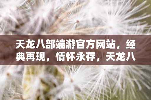 天龙八部端游官方网站图片