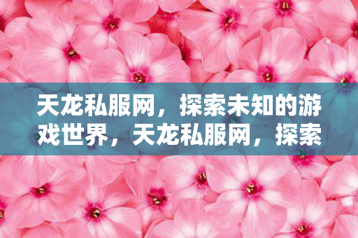 探索未知的游戏世界图片