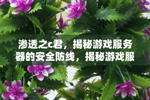 渗透之c君,揭秘游戏服务器的安全防线,揭秘游戏服务器安全防线,渗透之C君的实战解析 渗透之c君,揭秘游戏服务器的安全防线,揭秘游戏服务器安全防线,渗透之C君的实战解析