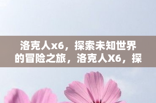 洛克人x6,探索未知世界的冒险之旅,洛克人X6,探索未知世界的冒险之旅 洛克人x6,探索未知世界的冒险之旅,洛克人X6,探索未知世界的冒险之旅