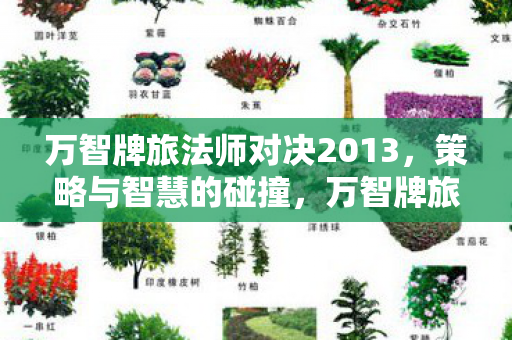 万智牌旅法师对决2013图片
