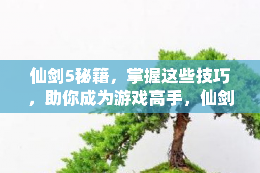 成为游戏高手的必备技巧图片