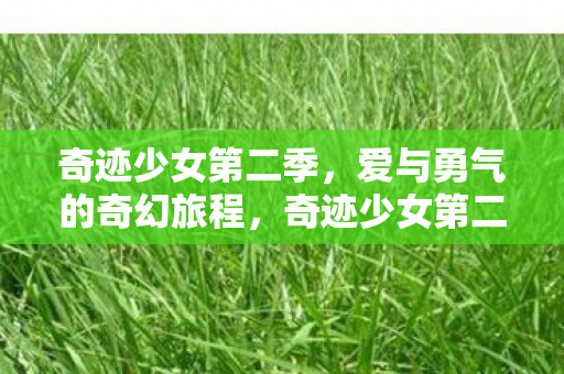 奇迹少女第二季,爱与勇气的奇幻旅程,奇迹少女第二季,爱与勇气的奇幻冒险之旅 奇迹少女第二季,爱与勇气的奇幻旅程,奇迹少女第二季,爱与勇气的奇幻冒险之旅