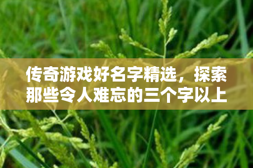 传奇游戏好名字精选，探索那些令人难忘的三个字以上游戏名，传奇游戏，精选令人难忘的三个字以上游戏名
