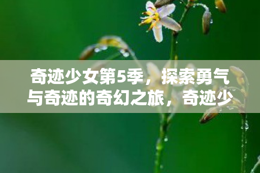 奇迹少女第5季，探索勇气与奇迹的奇幻之旅，奇迹少女第5季，勇气与奇迹的奇幻冒险之旅