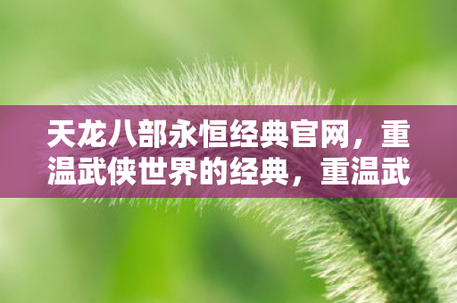 天龙八部永恒经典官网图片