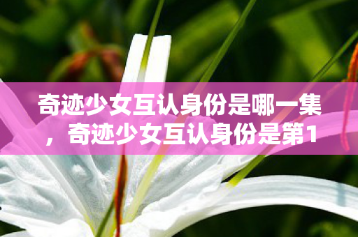 奇迹少女互认身份是哪一集,奇迹少女互认身份是第13集。 奇迹少女互认身份是哪一集,奇迹少女互认身份是第13集。