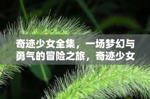奇迹少女全集,一场梦幻与勇气的冒险之旅,奇迹少女全集,梦幻与勇气的冒险之旅 奇迹少女全集,一场梦幻与勇气的冒险之旅,奇迹少女全集,梦幻与勇气的冒险之旅