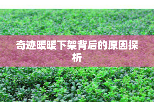 奇迹暖暖下架背后的原因探析 奇迹暖暖下架背后的原因探析