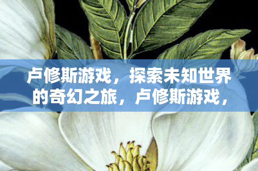探索未知世界的奇幻之旅图片